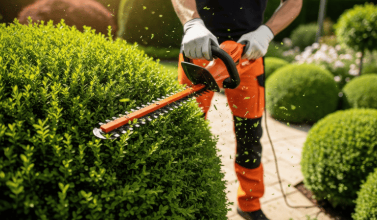 spring landscaping in west des moines landscape bed refresh