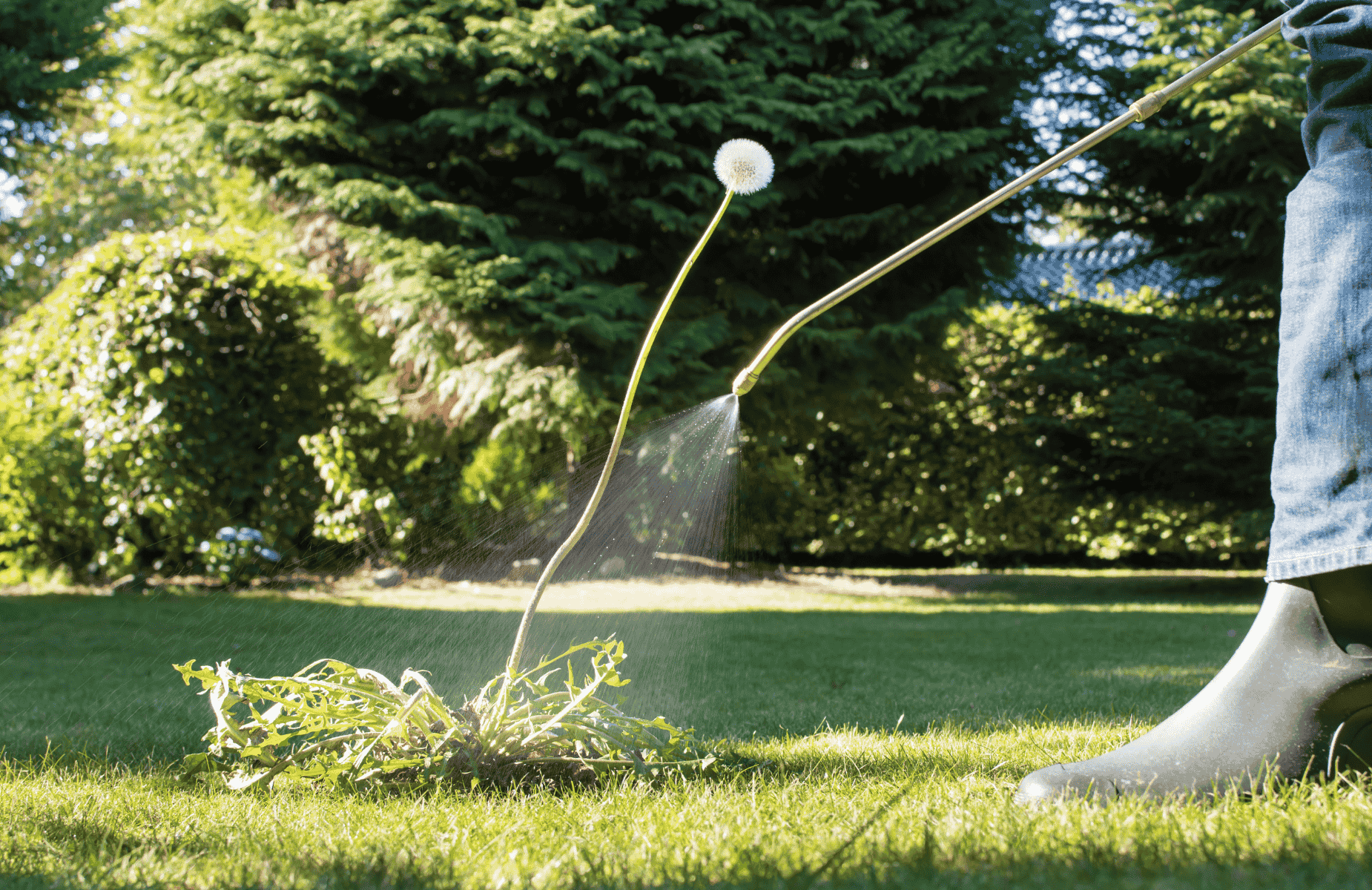 Weed Control