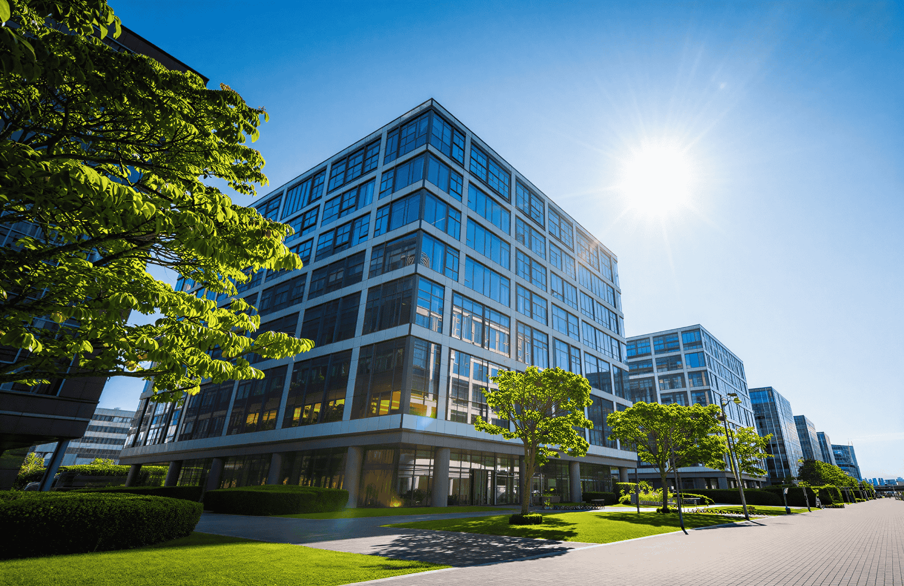 Commercial Lawn Care