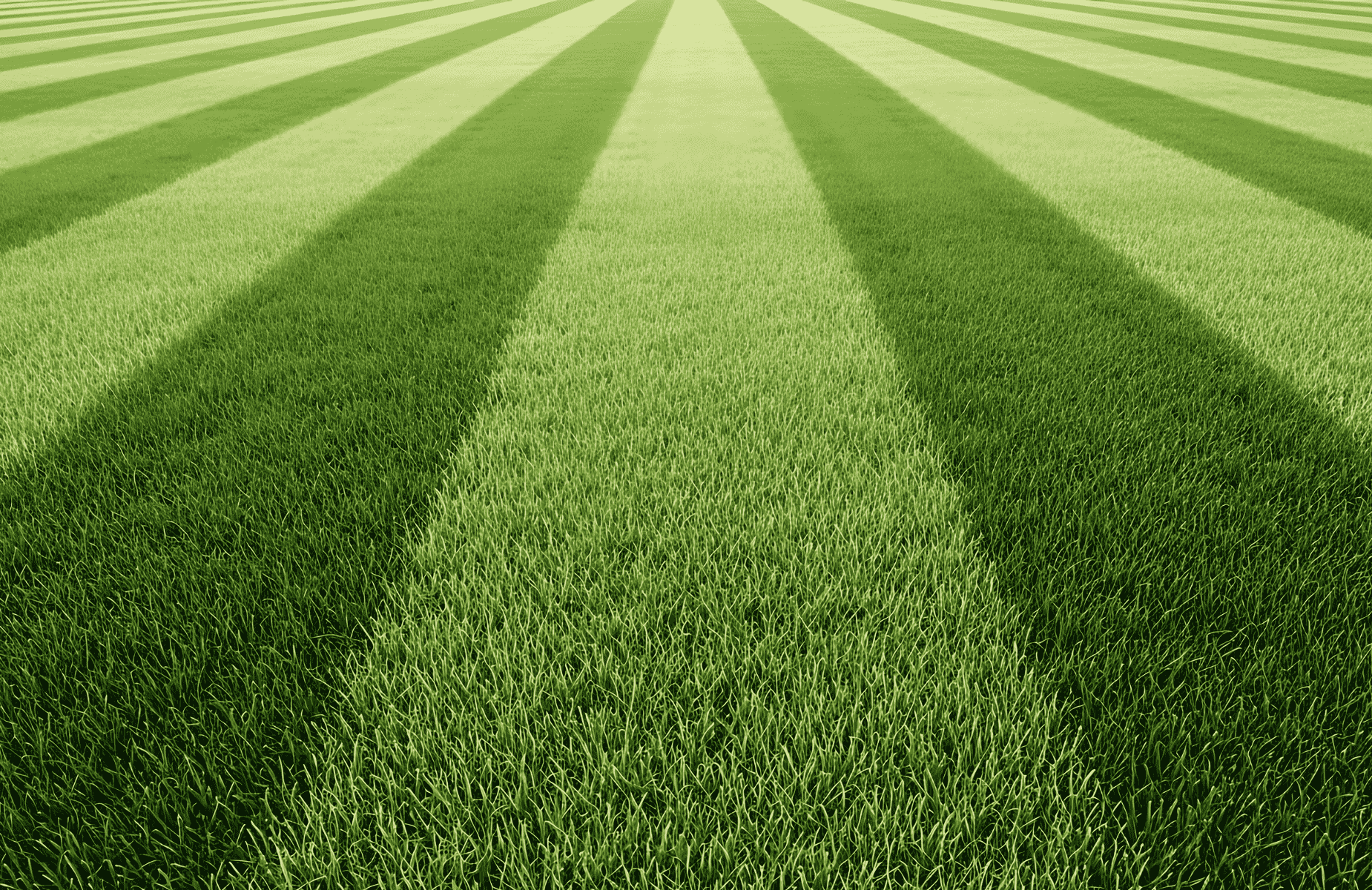 Commercial Grounds Maintenance